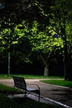 Park bench through the trees at night Stock Photos