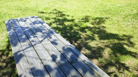Park bench with tree shadow, Tohoku japan Stock Footage 310480130