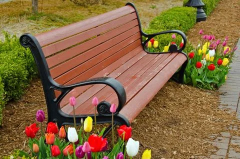Park bench with tulips Stock Photos
