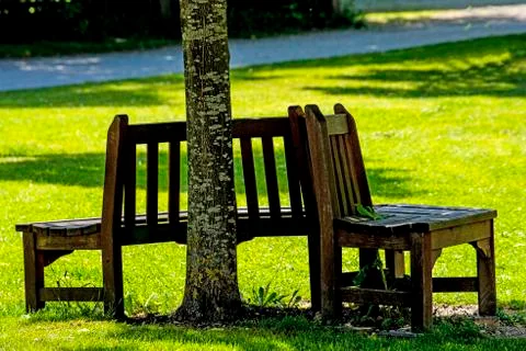 Park bench under  tree Stock Photos