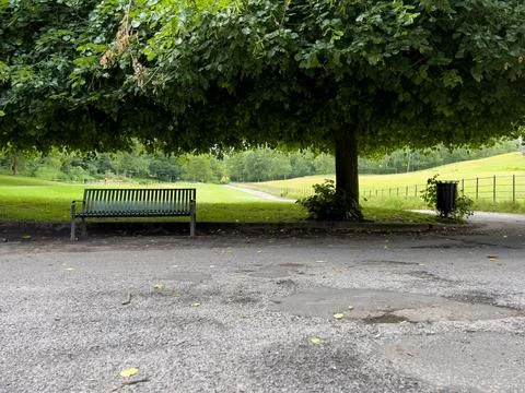 Park Bench under Tree Stock Photos