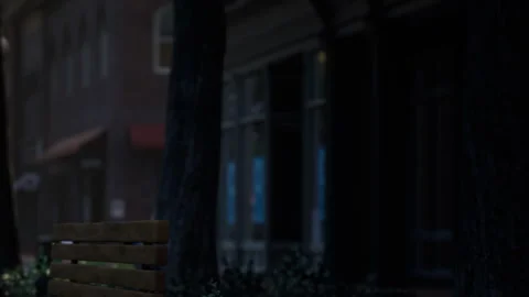 Park bench under trees in a quiet street during early evening light Stock Footage 340980928