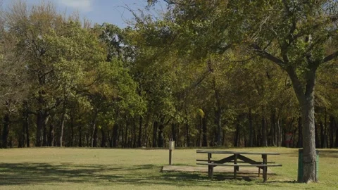 Park bench on a windy day Stock Footage 345265722