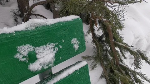 Park bench in winter Stock Footage 124325990