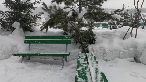 Park bench in winter Stock Footage 124326005