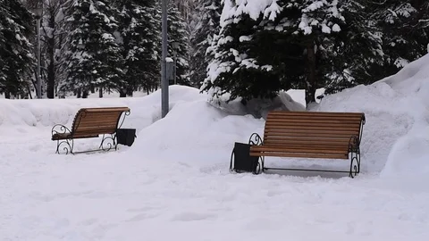 Park bench in winter  Stock Footage 124700026