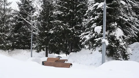 Park bench in winter  Stock Footage 124700094