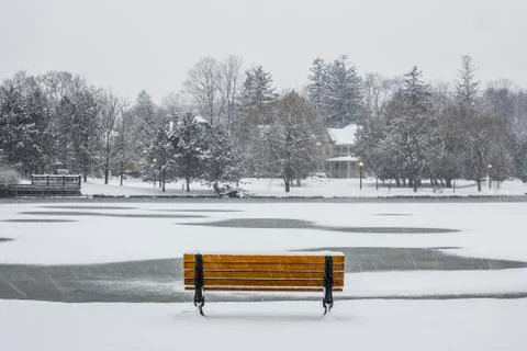 Park Bench in Winter Stock Photos