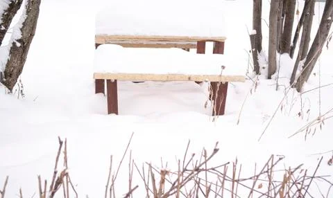 Park bench winter snow, tree branches. Stock Photos