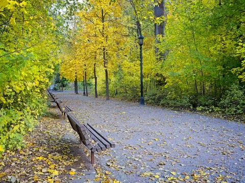 Park benches and a walking path in autumn. Stock Photos