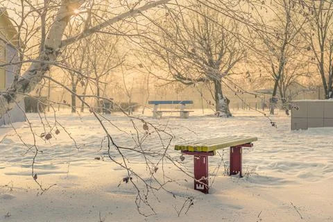 Park benches in the early winter morning. Stock Photos