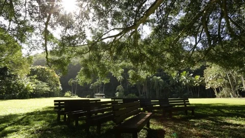 Park Benches Stock Footage 104784595