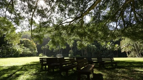 Park Benches Stock Footage 104784609