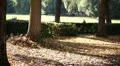 At park with bike HD Footage