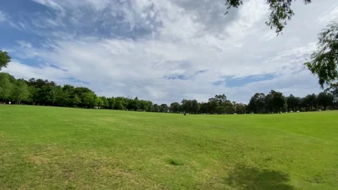 Park with blue sky Video stock 143644729
