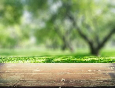 Park blur background Stock Photos
