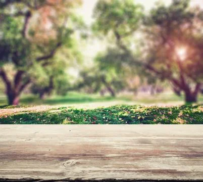 Park blur background Stock Photos