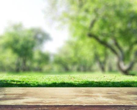 Park blur background Stock Photos