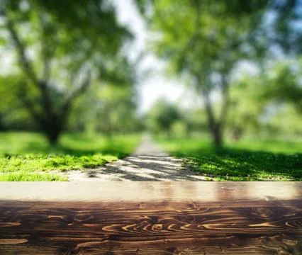 Park blur background Stock Photos