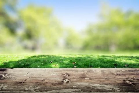 Park blur background Stock Photos