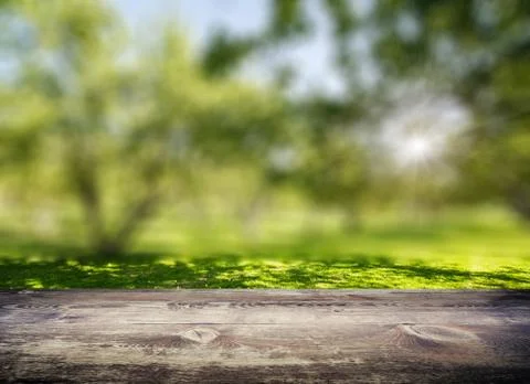 Park blur background Stock Photos