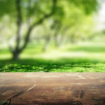 Park blur background Stock-Fotos