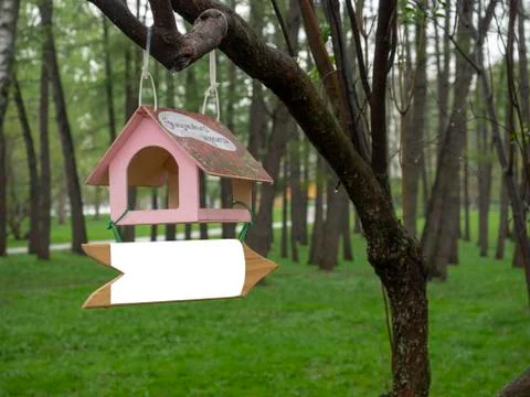 In the Park on a branch hanging pointer Stock Photos