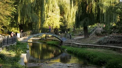 Park bridge Stock Footage 8909305