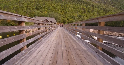 Park bridge 库存影片 116790375