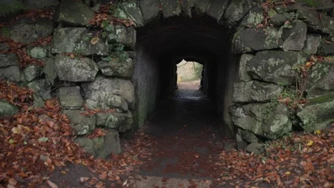 Park Bridge Stock Footage 256161423