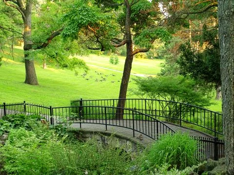 Park with bridge Stock Photos