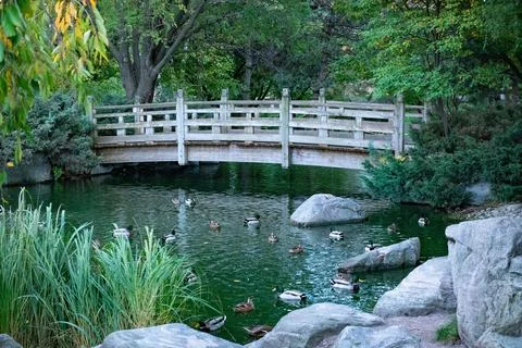 Park Bridge Stock Photos