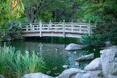 Park Bridge Stock Photos