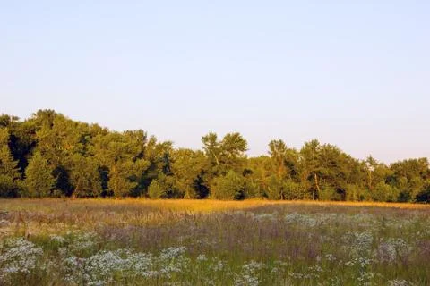 Park in bright sunlight 스톡 사진