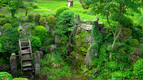 Park with a calm water lake Stock Footage 313596953