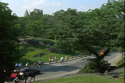 Park Carriages-ws Vídeo Stock 819474