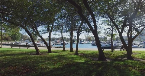 Park in chicago with nice background Stock Footage 81804385