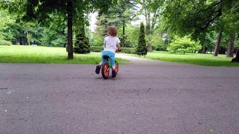 In The Park The Child Rides A Bicycle Stock Footage 111420656