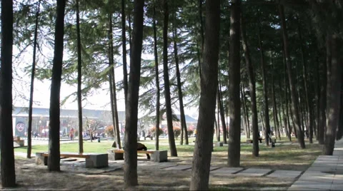 Park of china Stock Footage 886235