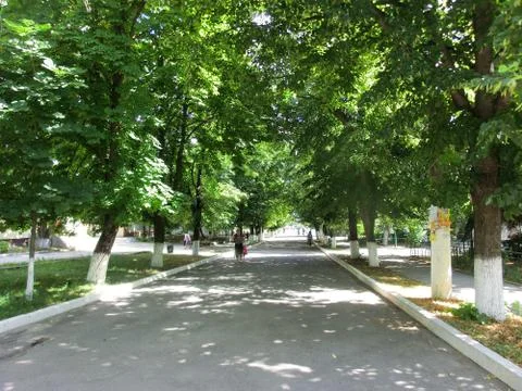 Park in Chișinău  Stock Photos
