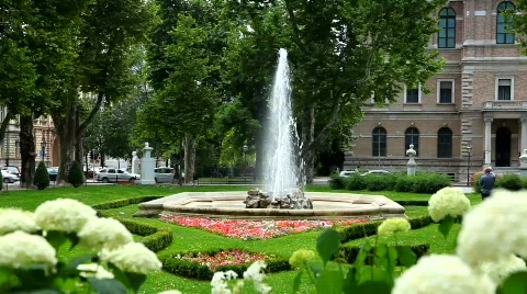 Park in the city Stockbeeldmateriaal 458479