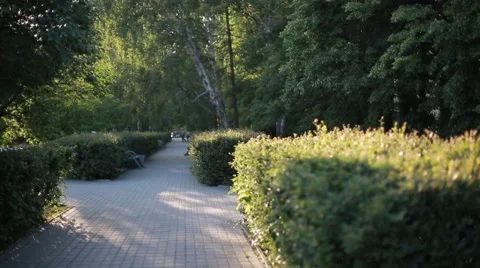 Park in the city Stock Footage 63750411