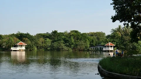 Park in the city 動画素材 120499216