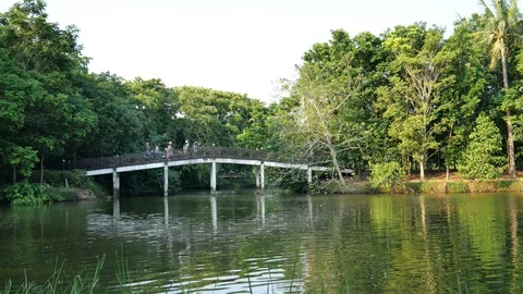 Park in the city Stock-Footage 120526148