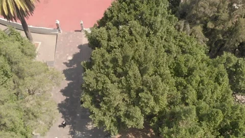 Park of the city Stock Footage 153516265