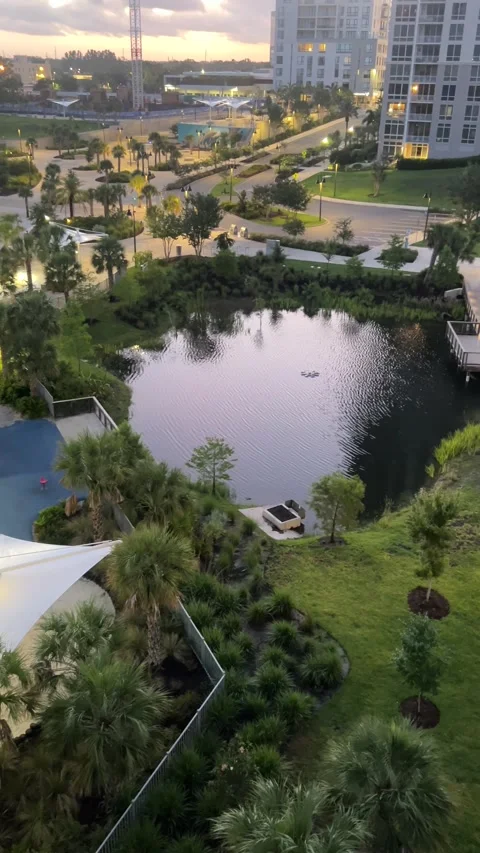 Park in the city Video stock 336207058