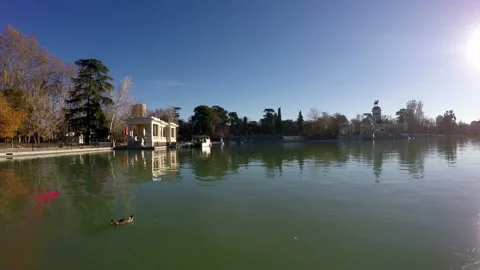 Park in the city of Madrid Stock Footage 101430478