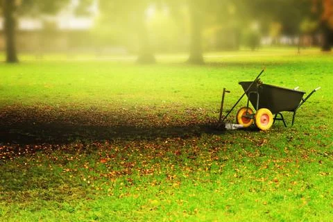 Park cleaning in the fall. Preparing for winter, using a wheelbarrow and ra.. Stock Photos