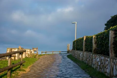 Park with cloudy sky and cold colours. Stock Photos