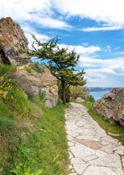 Park on the coast. Stock Photos